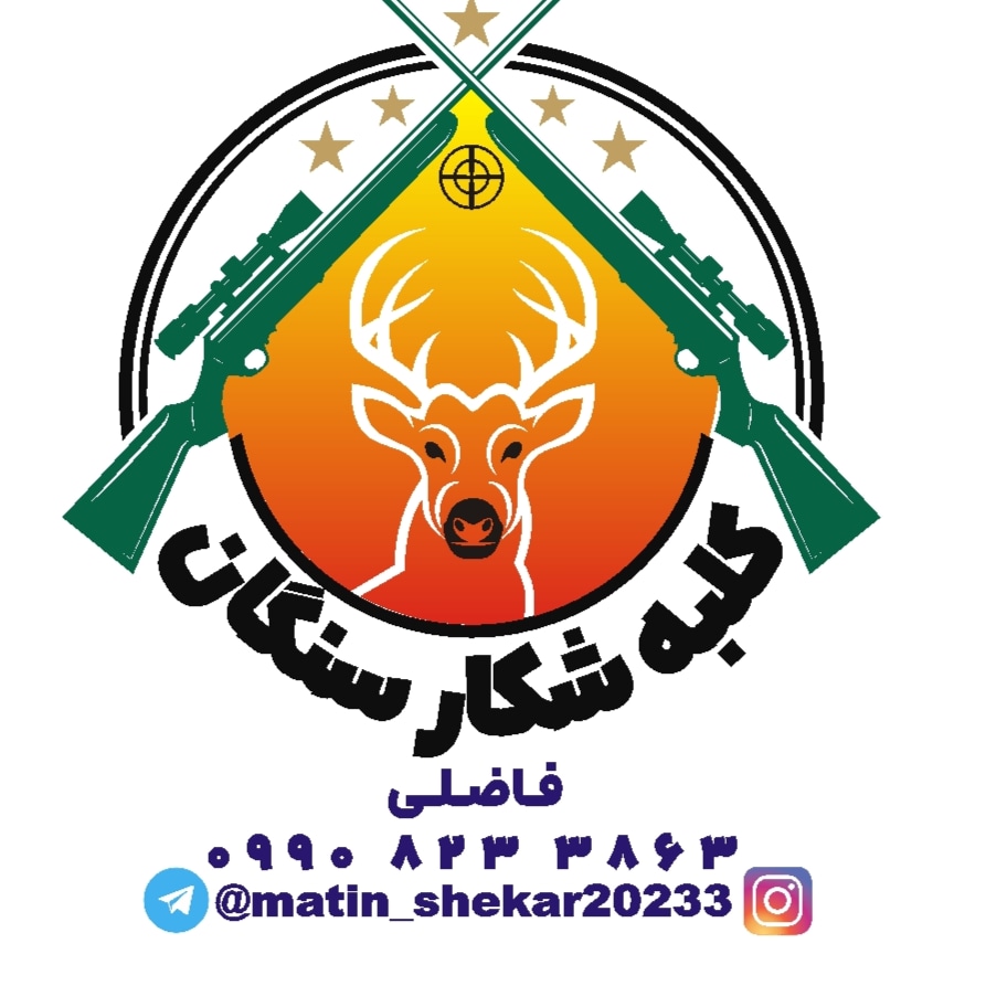ساچمه 19.34گرین دیسکاوری 