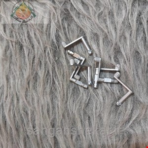 ضامن ماشه کرال