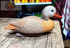 ماکت اردک ماده