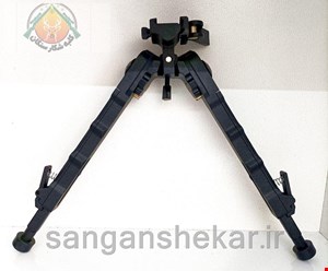 دوپایه آکوتک